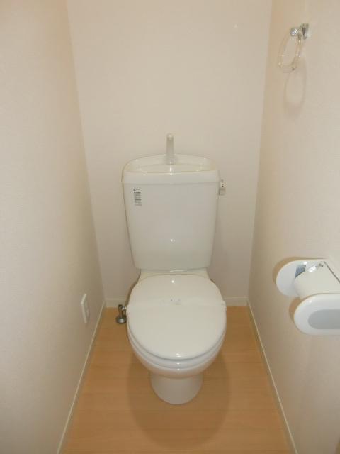 ジプソフィラ 　トイレです。