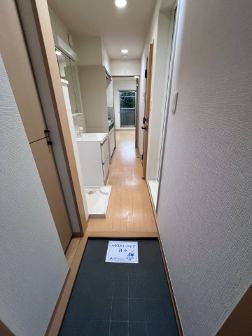 ジプソフィラ　